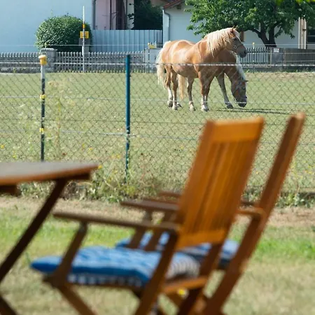 Fewo-parkstetten, Schlichtstr. 17 A Apartamento *